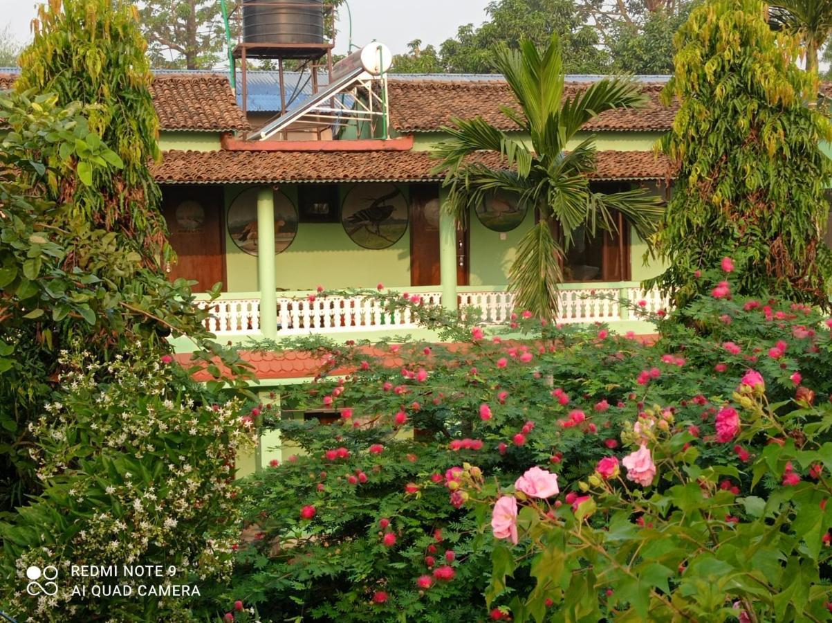 Hotel Rhino Land Sauraha Buitenkant foto